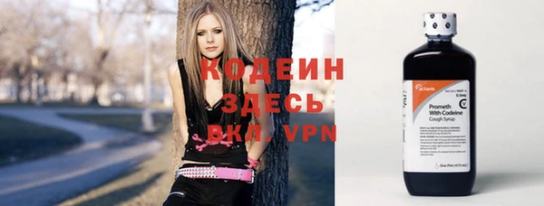 apvp Вяземский
