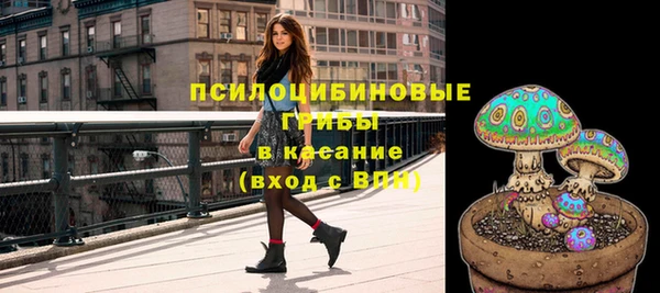 apvp Вяземский