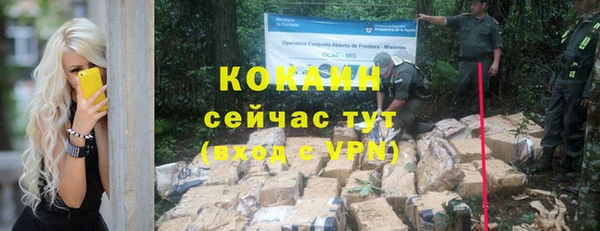 apvp Вяземский