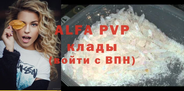 apvp Вяземский