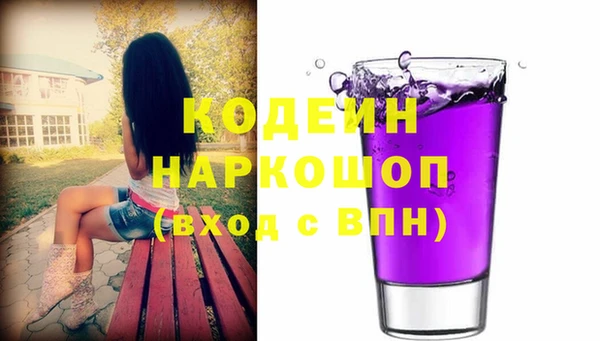 apvp Вяземский